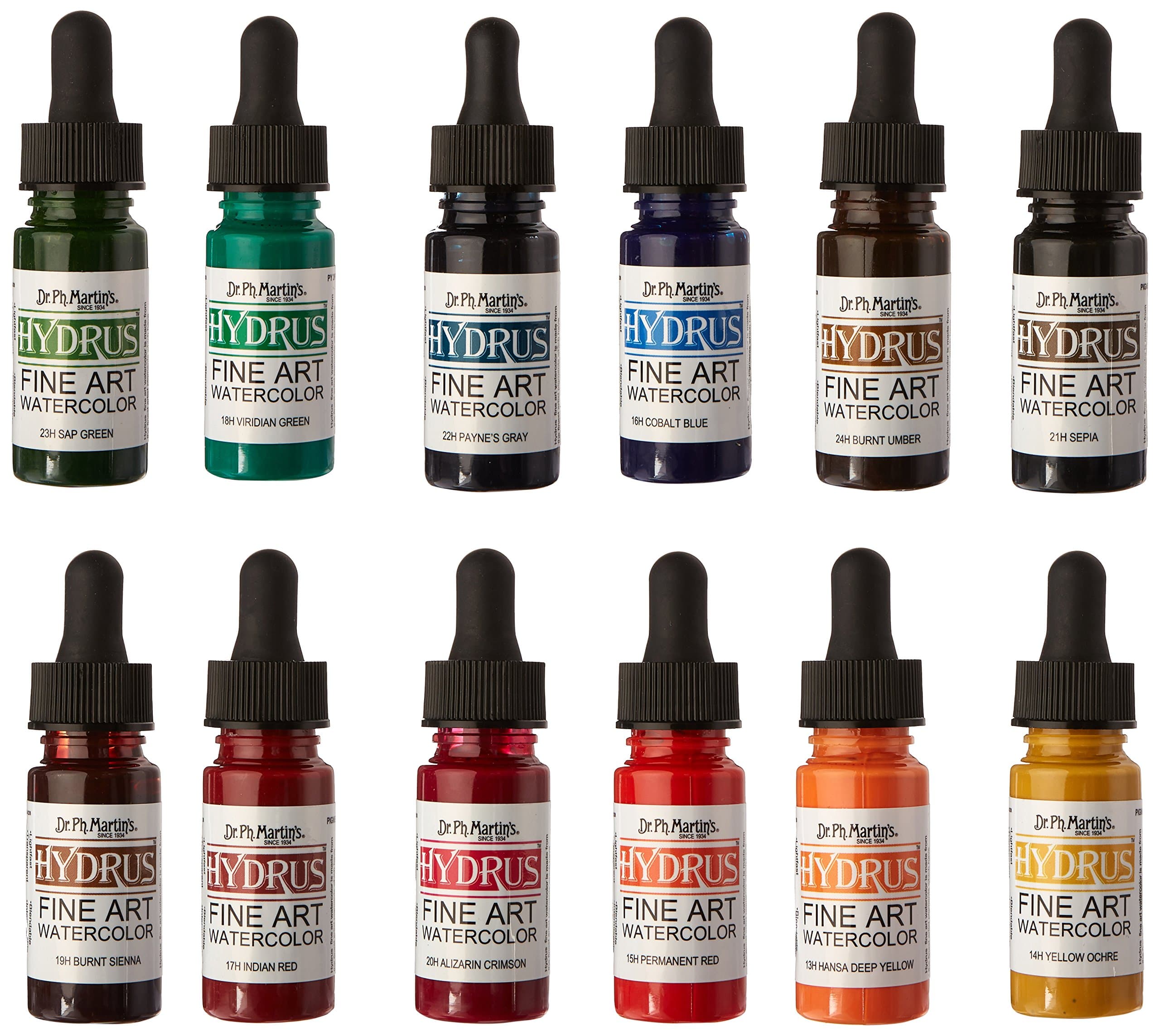 Dr. Ph. Martin's Hydrus Fine Art Watercolor Bottles, 0.5 oz, Set of 12 (Set 2)