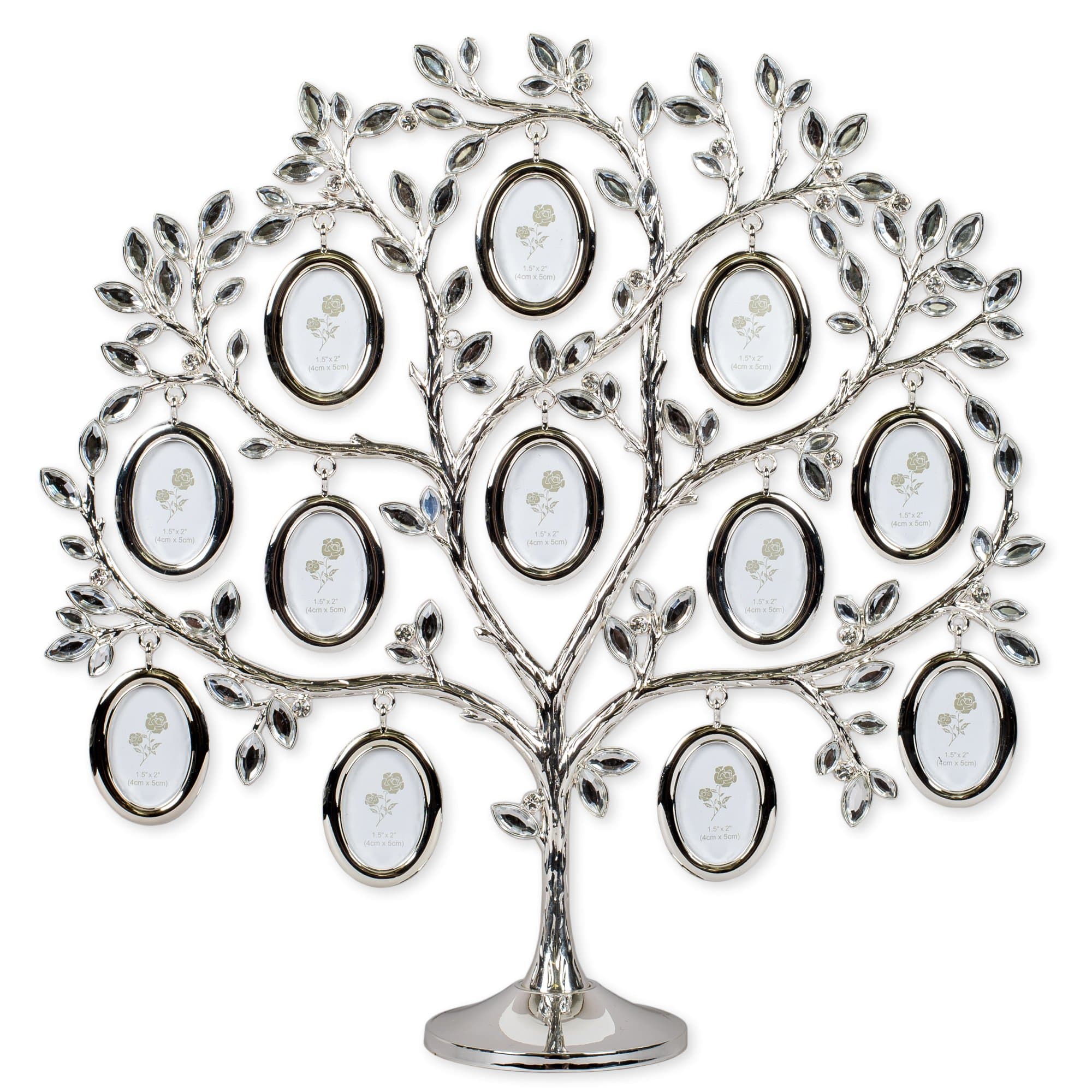 Roman Inc. 12h Family Tree Holds 12 Photos by Roman